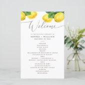 Programme de mariage à l'aquarelle de citron | Pro (Debout devant)