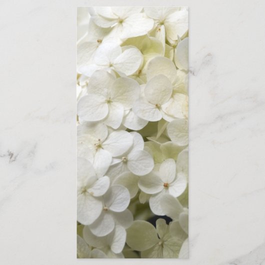 Programme de mariage aux fleurs d'Hydrangea blanch (Devant)