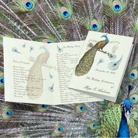 Programme de mariage aux plumes de paon
