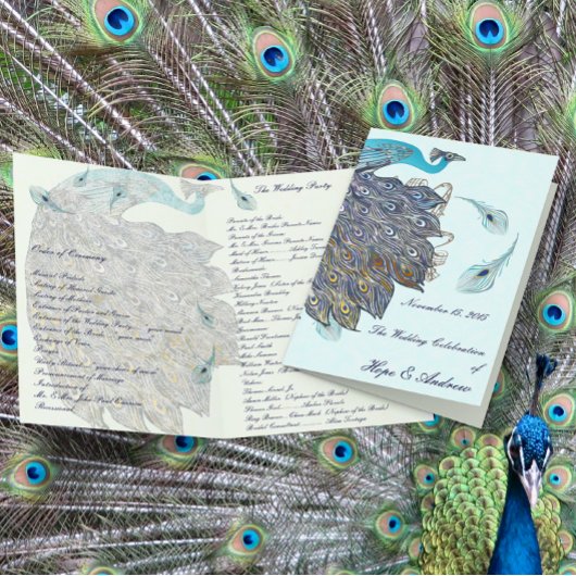 Programme de mariage aux plumes de paon fantaisist