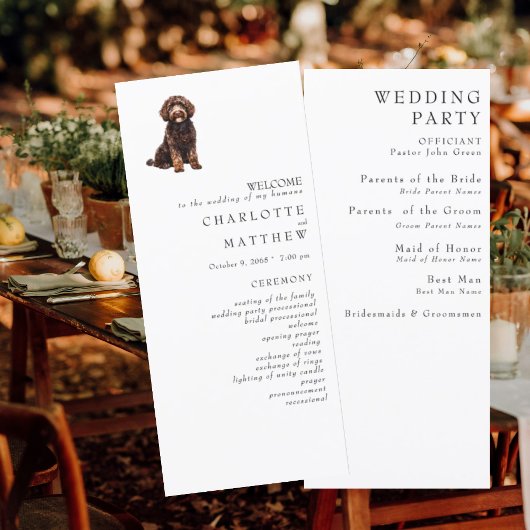 Programme de mariage blanc pour animaux