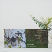 Programme de mariage de Birch Weeping (Debout devant)