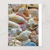 Programme de mariage de coquillages de petite plag (Dos)