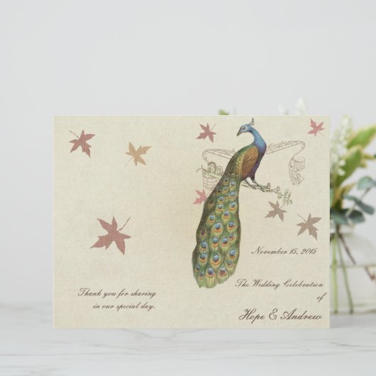 Programme de mariage de paon (Debout devant)