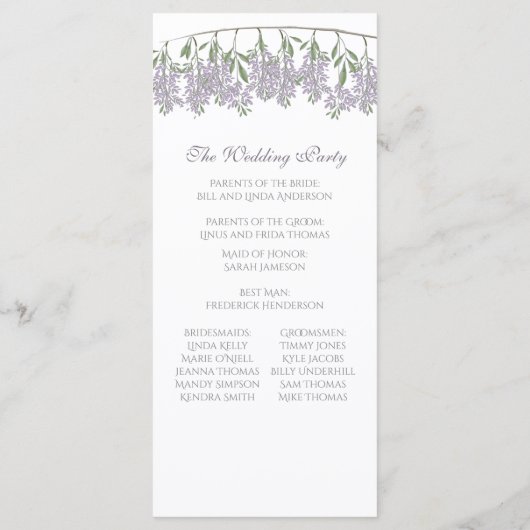 Programme de mariage des bactéries peintes (Dos)