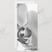 Programme de mariage des orchidées blanches (Devant / Derrière)