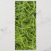 Programme de mariage d'été pour le Jardin de l'her (Dos)