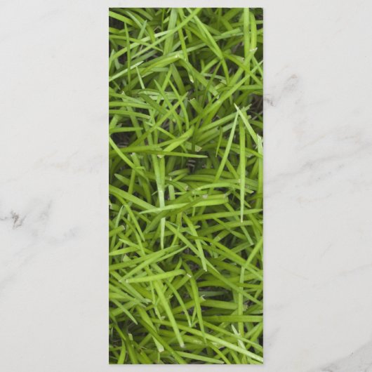 Programme de mariage d'été pour le Jardin de l'her (Dos)