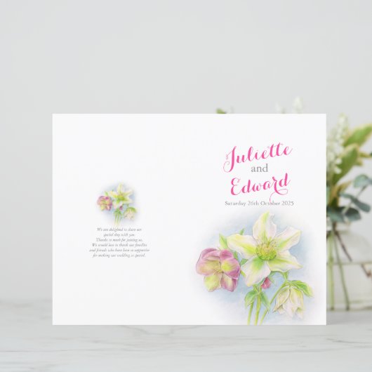 Programme de mariage d'hélibores de printemps d'aq (Debout devant)