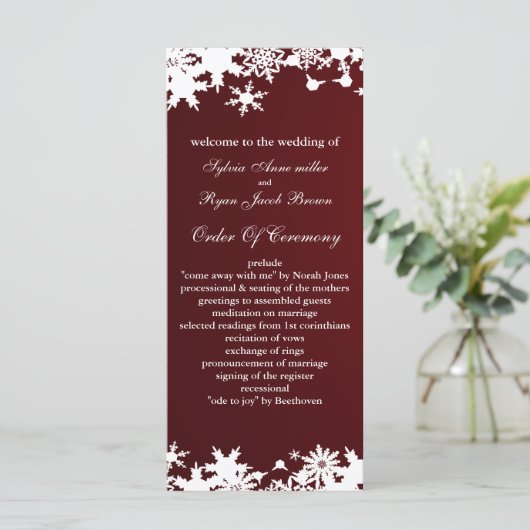 programme de mariage d'hiver des flocons de neige (Debout devant)