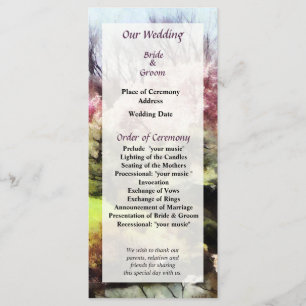 Programme de mariage du printemps japonais