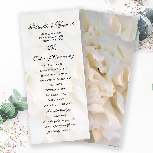 Programme de mariage floral de la carnation blanch