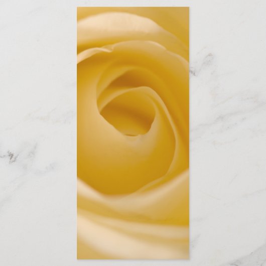 Programme de mariage floral Rose blanche (Dos)