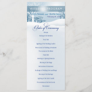 Programme de mariage hivernal neige bleu glace