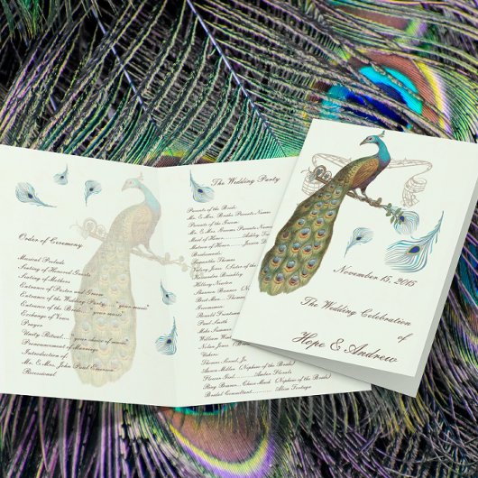 Programme de mariage Peacock Feathers
