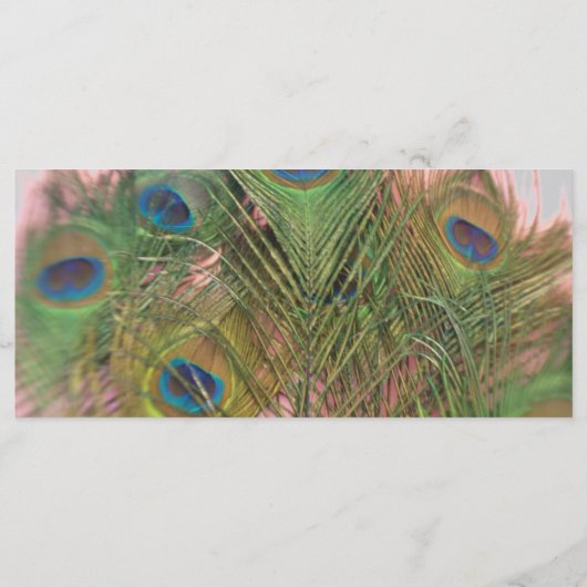 Programme de mariage rose et gris Peacock (Dos)