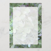 Programme de ventilateur Mariage Hydrangea vert (Dos)