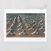 Programme d'entraînement physique pour les recrues (Devant)