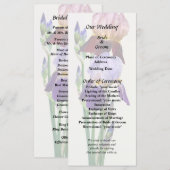 Programme Deux iris barbus Un marron Un violet (Devant / Derrière)