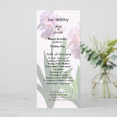 Programme Deux Iris roses (Debout devant)