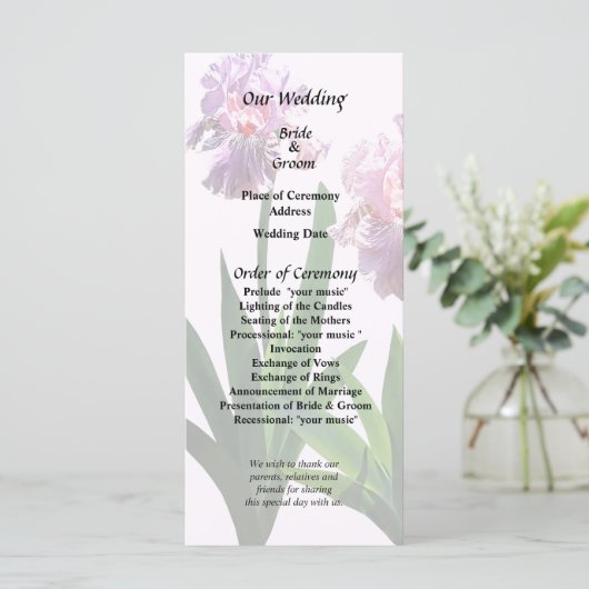 Programme Deux Iris roses (Debout devant)