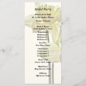 Programme Deux jonquilles rétroéclairées (Dos)