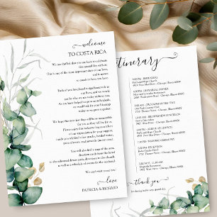 Programme du week-end de verdure d'eucalyptus saug