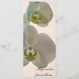Programme Elégante Orchidée blanche sur Mariage rose