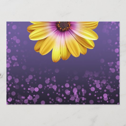 Programme Élégantes marguerites avec Mariage à Parties scint (Dos)