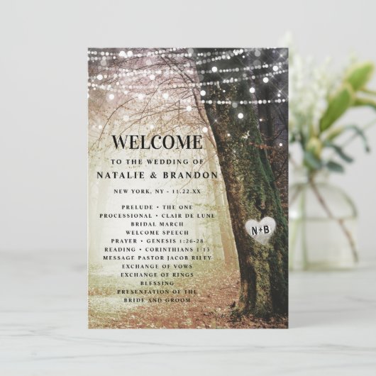 Programme Evermore | Cérémonie de l'ambre des forêts de fées (Debout devant)