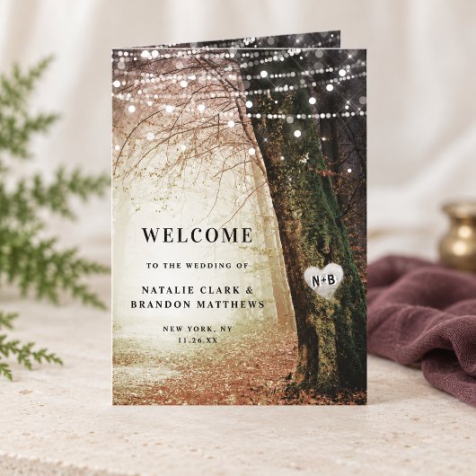 Programme Evermore | Cérémonie de mariage dans une forêt de