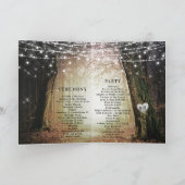 Programme Evermore | Cérémonie de mariage dans une forêt de (Intérieur)