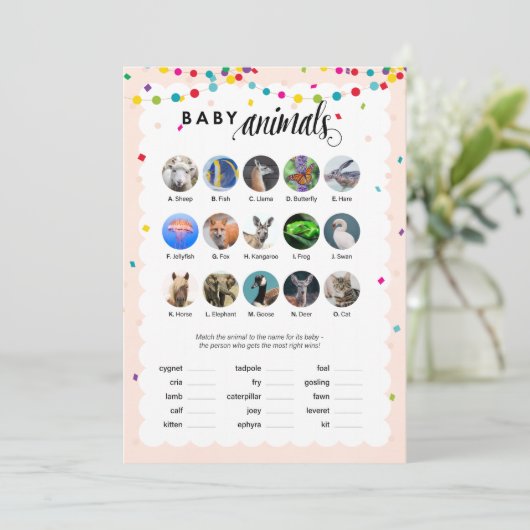 Programme Fiesta thème baby shower jeu bébé animaux (Debout devant)