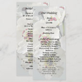 Programme Fleurs de poirier blanc en fleurs (Devant / Derrière)