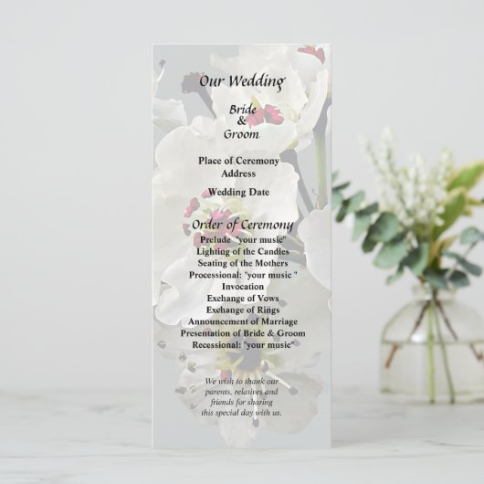 Programme Fleurs de poirier blanc en fleurs (Debout devant)