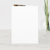 Programme Fleurs de soleil florales Photos pliées Funéraille (Dos)