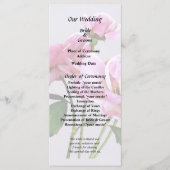 Programme Fournitures de mariage Roses Miniatures Roses (Devant)