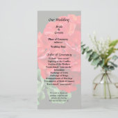 Programme Géranium Rouge Clair (Debout devant)