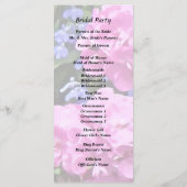 Programme Geraniums et Periwinkle (Dos)