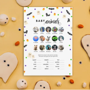 Programme Halloween thème baby shower jeu bébé animaux