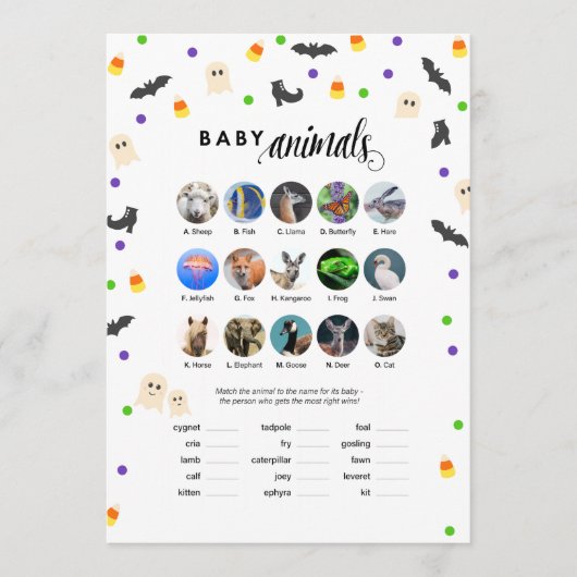 Programme Halloween thème baby shower jeu bébé animaux (Devant)