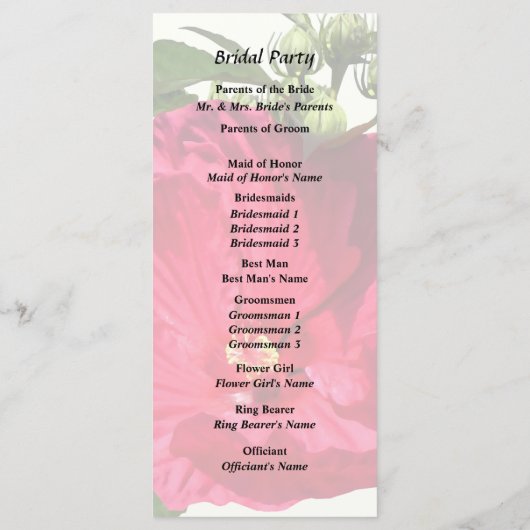 Programme Hibiscus rose foncé (Dos)