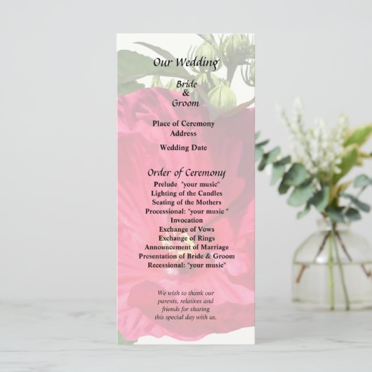 Programme Hibiscus rose foncé (Debout devant)