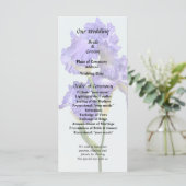 Programme Iris Triple Violet (Debout devant)