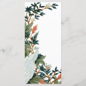 Programme Le paon (Dos)