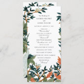 Programme Le paon (Devant / Derrière)