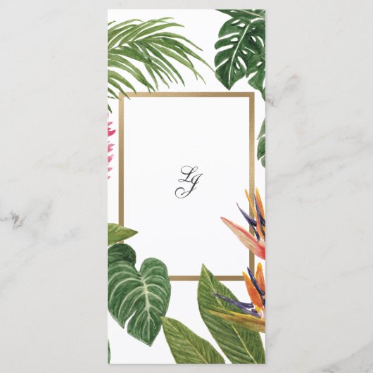 Programme Le rêve tropical (Dos)