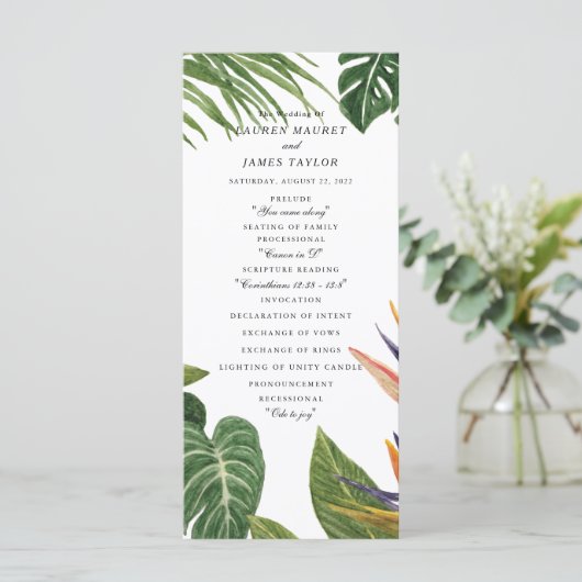 Programme Le rêve tropical (Debout devant)