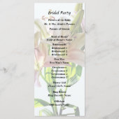 Programme Lilies Roses Pâle Rétroéclairées (Dos)