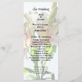 Programme Lilies Roses Pâle Rétroéclairées (Devant)